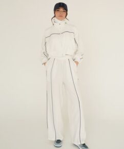 ست دامینیت - Duminate